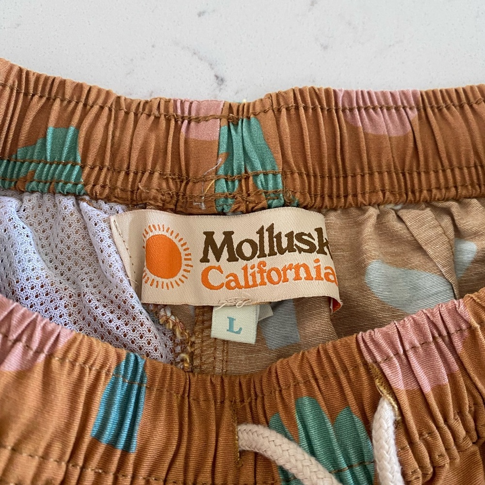 Mollusk Tomboy Trunks